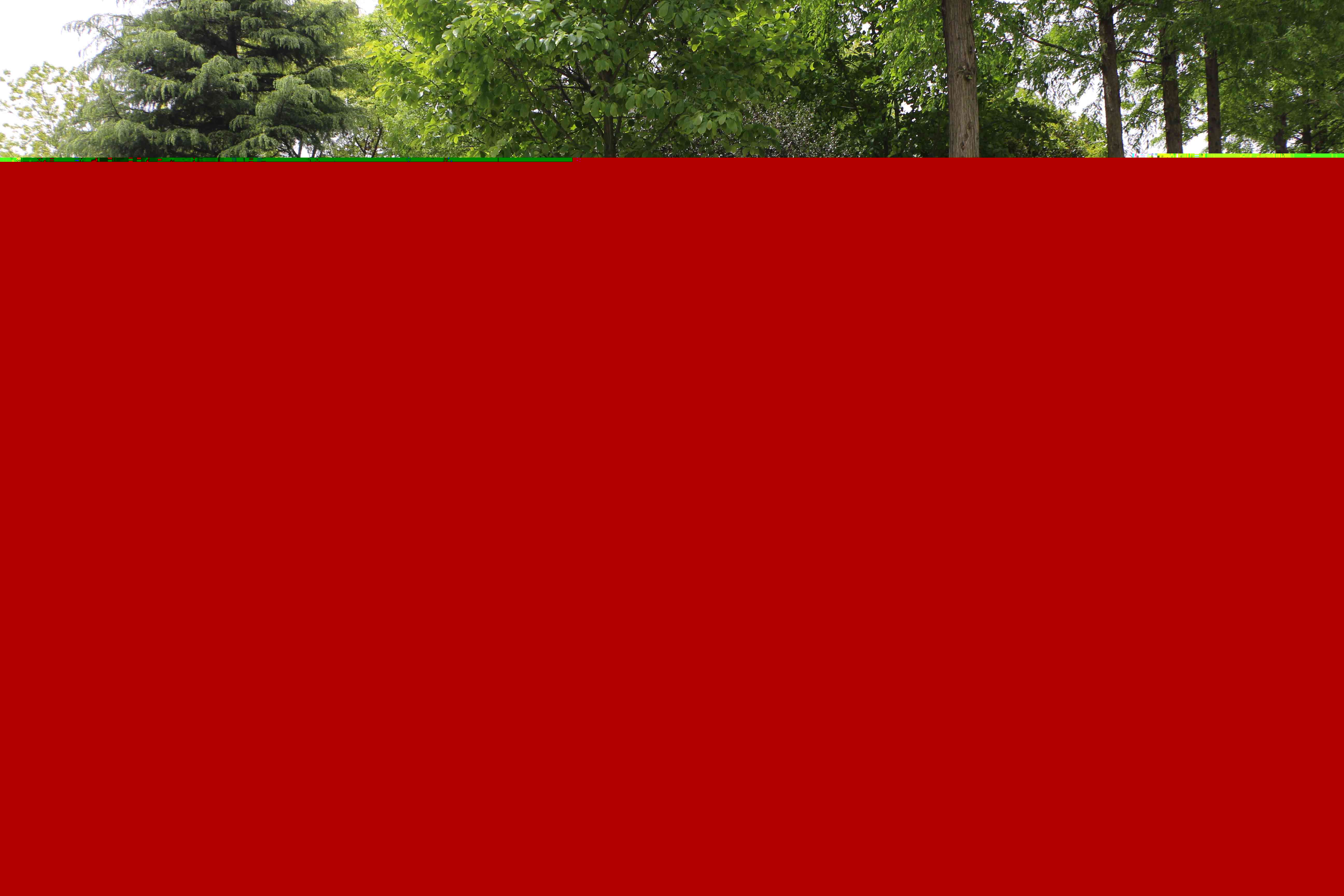 蔣巷一日拓展訓(xùn)練(圖59)